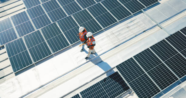 Best Roof Maintenance and Cleaning  in Miami Shores, FL