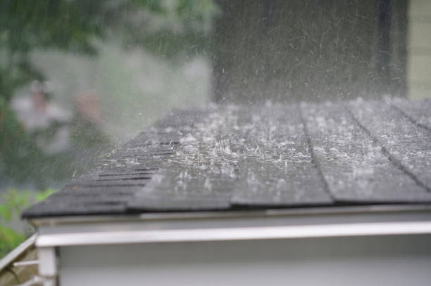 Best Emergency Roof Repair Services  in Miami Shores, FL